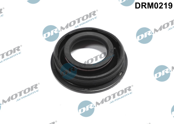 Dr.Motor Automotive DRM0219 Guarnizione, Portapolverizzatore-Guarnizione, Portapolverizzatore-Ricambi Euro