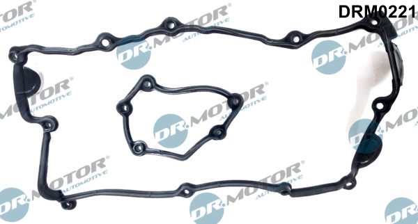 Dr.Motor Automotive DRM0221 Guarnizione, Copritestata