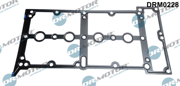 Dr.Motor Automotive DRM0228 Guarnizione, Copritestata