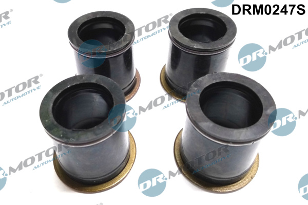 Dr.Motor Automotive DRM0247S Kit guarnizioni, Iniettore-Kit guarnizioni, Iniettore-Ricambi Euro