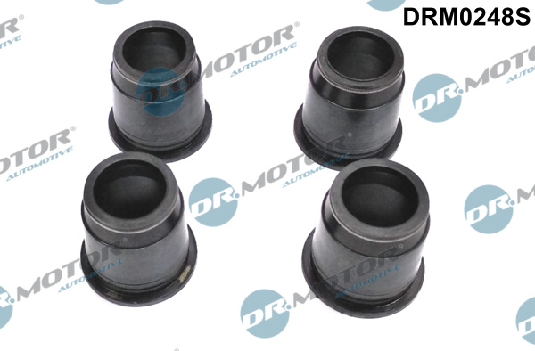 Dr.Motor Automotive DRM0248S Guarnizione, Copritestata-Guarnizione, Copritestata-Ricambi Euro