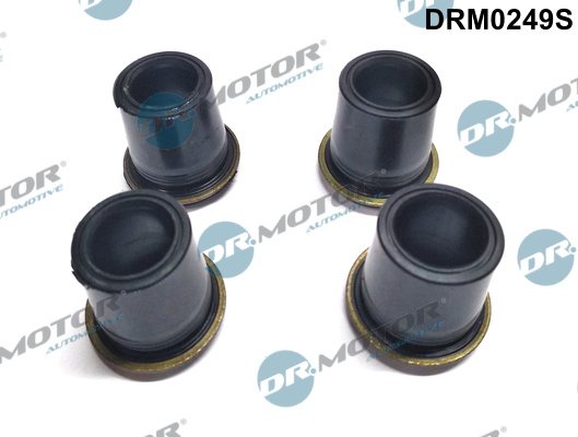 Dr.Motor Automotive DRM0249S Dichtungssatz, Einspritzdüse