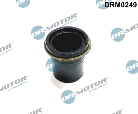 Dr.Motor Automotive DRM0249 Guarnizione, Portapolverizzatore