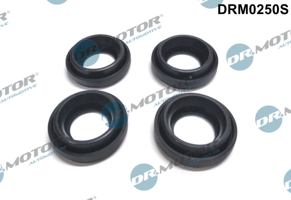 Dr.Motor Automotive DRM0250S Kit guarnizioni, Iniettore-Kit guarnizioni, Iniettore-Ricambi Euro