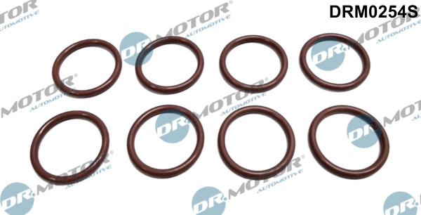 Dr.Motor Automotive DRM0254S Kit anelli tenuta, Iniettore-Kit anelli tenuta, Iniettore-Ricambi Euro