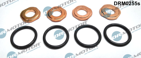 Dr.Motor Automotive DRM0255S Kit guarnizioni, Iniettore