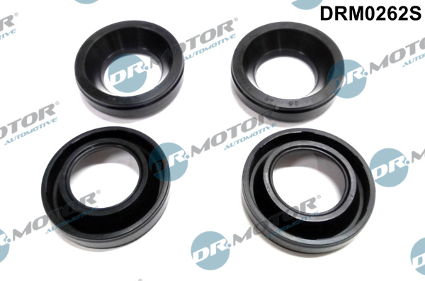 Dr.Motor Automotive DRM0262S Kit guarnizioni, Copritestata