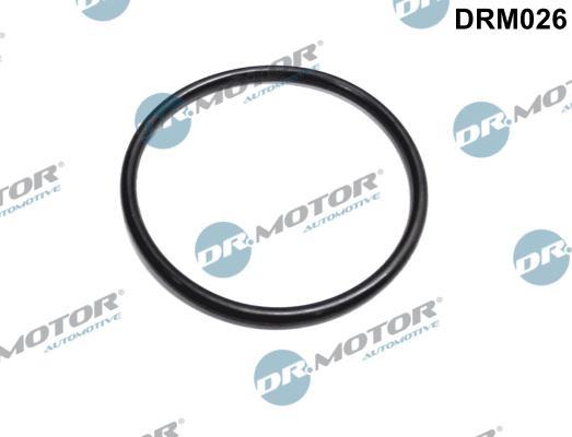 Dr.Motor Automotive DRM026 Guarnizione, Collettore aspirazione-Guarnizione, Collettore aspirazione-Ricambi Euro