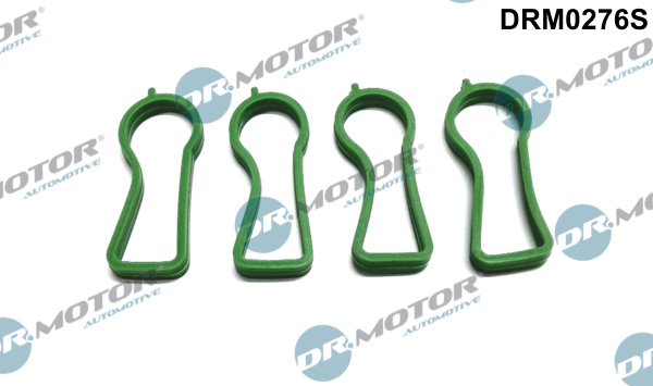 Dr.Motor Automotive DRM0276S Kit guarnizioni, Collettore aspirazione-Kit guarnizioni, Collettore aspirazione-Ricambi Euro