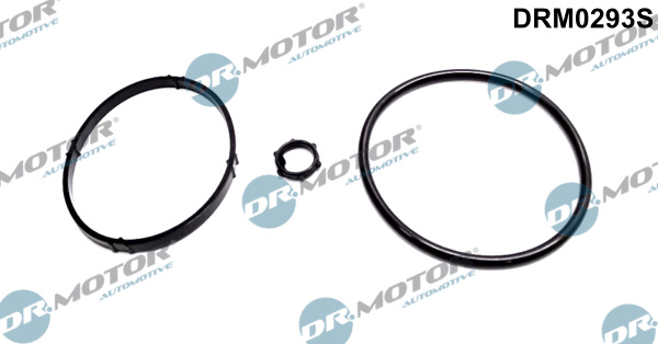 Dr.Motor Automotive DRM0293S Kit guarnizioni, Radiatore olio