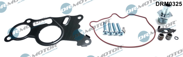 Dr.Motor Automotive DRM0325 Kit riparazione, Pompa a depressione (Sistema frenante)