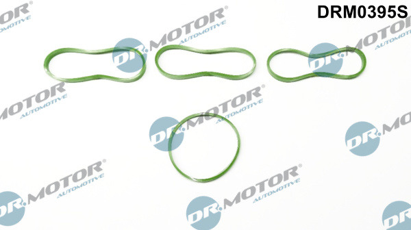 Dr.Motor Automotive DRM0395S Kit guarnizioni, Collettore aspirazione