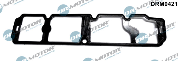 Dr.Motor Automotive DRM0421 Guarnizione, Copritestata-Guarnizione, Copritestata-Ricambi Euro