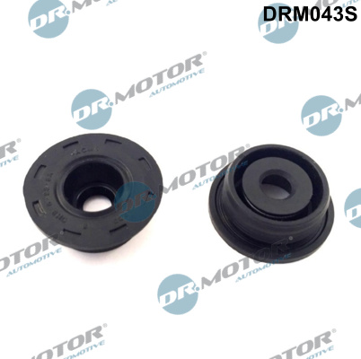 Dr.Motor Automotive DRM043S Guarnizione, Copritestata