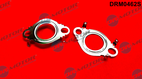 Dr.Motor Automotive DRM0462S Kit guarnizioni, Sistema-EGR-Kit guarnizioni, Sistema-EGR-Ricambi Euro