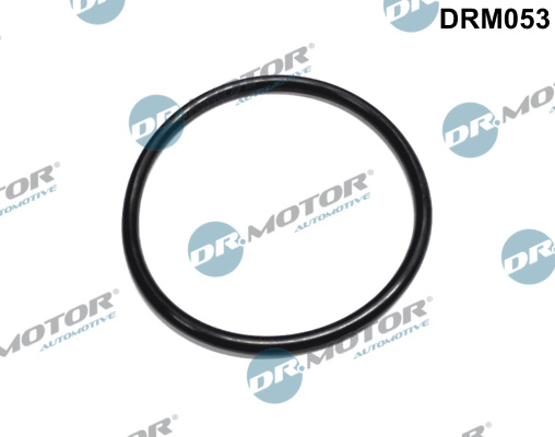 Dr.Motor Automotive DRM053 Guarnizione, Filtro carburante-Guarnizione, Filtro carburante-Ricambi Euro