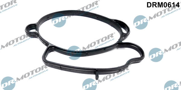 Dr.Motor Automotive DRM0614 Guarnizione, Collettore aspirazione-Guarnizione, Collettore aspirazione-Ricambi Euro