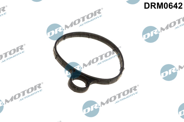 Dr.Motor Automotive DRM0642 Guarnizione, Pompa depressione-Guarnizione, Pompa depressione-Ricambi Euro