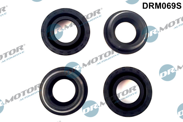 Dr.Motor Automotive DRM069S Guarnizione, Copritestata-Guarnizione, Copritestata-Ricambi Euro