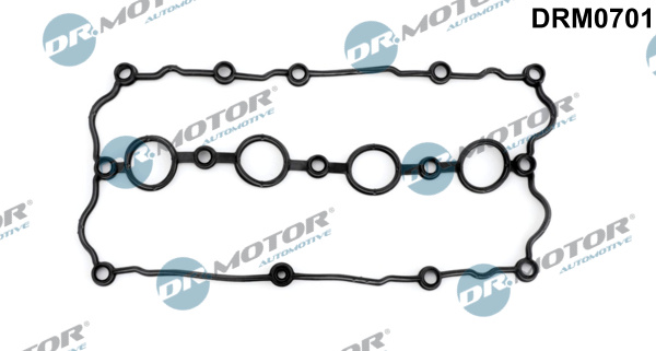 Dr.Motor Automotive DRM0701 Guarnizione, Copritestata