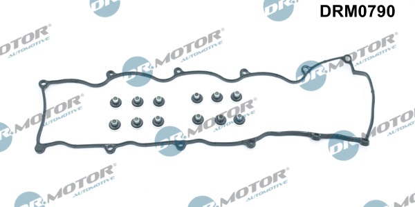 Dr.Motor Automotive DRM0790 Guarnizione, Copritestata