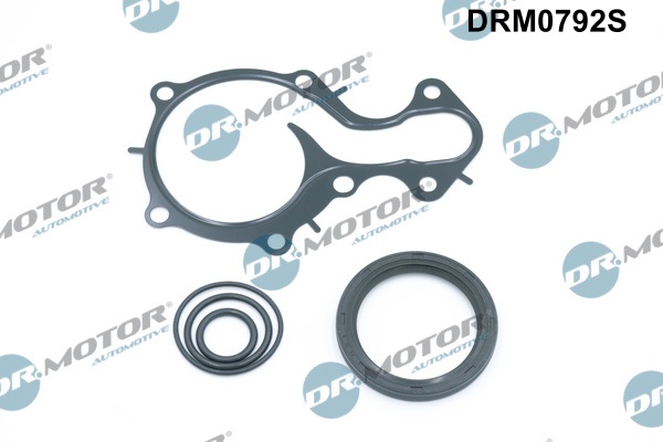 Dr.Motor Automotive DRM0792S Kit guarnizioni, Monoblocco