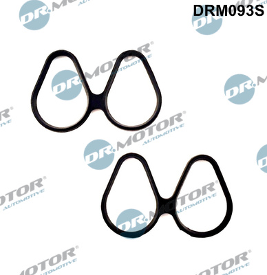 Dr.Motor Automotive DRM093S Kit guarnizioni, Collettore aspirazione-Kit guarnizioni, Collettore aspirazione-Ricambi Euro