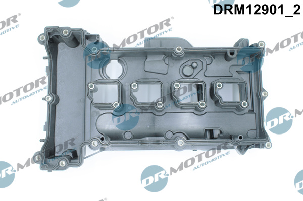 Dr.Motor Automotive DRM12901 Copritestata