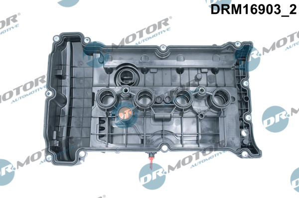 Dr.Motor Automotive DRM16903 Copritestata