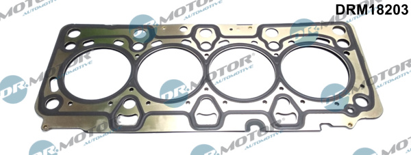 Dr.Motor Automotive DRM18203 Guarnizione, Testata