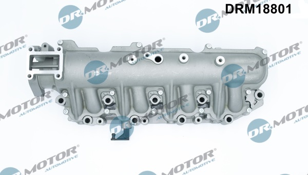 Dr.Motor Automotive DRM18801 Modulo collettore aspirazione