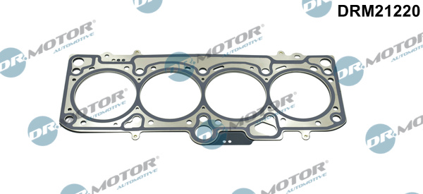 Dr.Motor Automotive DRM21220 Kit guarnizioni, Testata