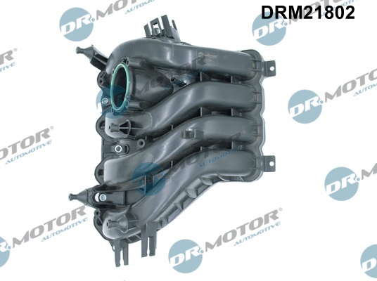 Dr.Motor Automotive DRM21802 Modulo collettore aspirazione