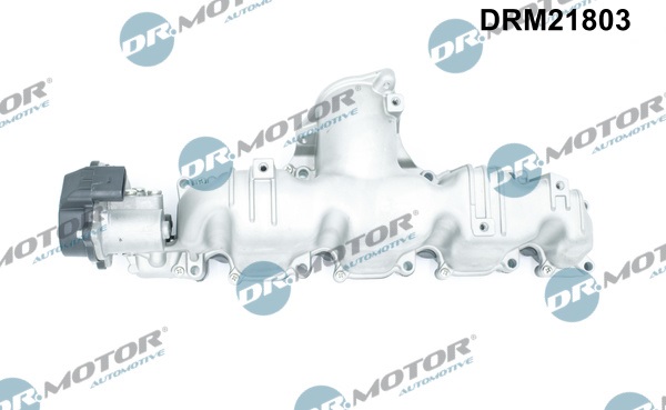 Dr.Motor Automotive DRM21803 Modulo collettore aspirazione-Modulo collettore aspirazione-Ricambi Euro