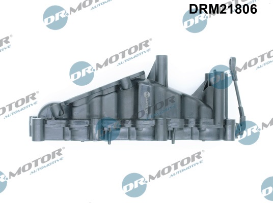 Dr.Motor Automotive DRM21806 Modulo collettore aspirazione