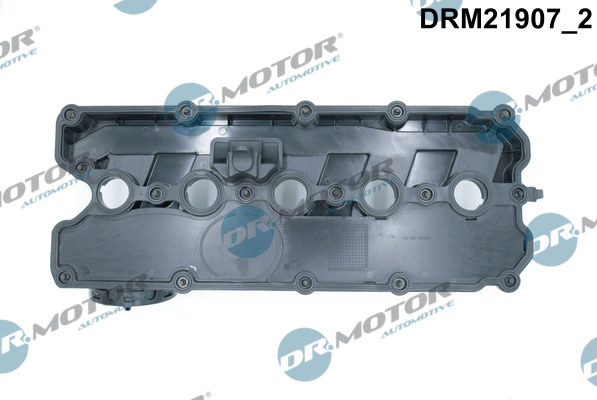 Dr.Motor Automotive DRM21907 Copritestata