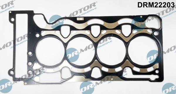 Dr.Motor Automotive DRM22203 Guarnizione, Testata-Guarnizione, Testata-Ricambi Euro