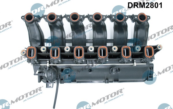 Dr.Motor Automotive DRM2801 Modulo collettore aspirazione