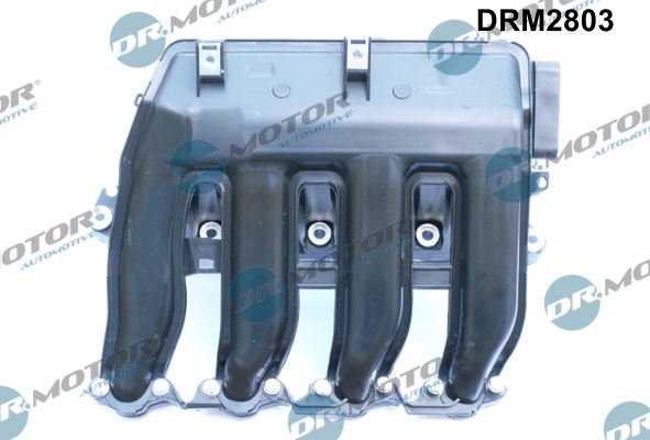 Dr.Motor Automotive DRM2803 Collettore d'aspirazione, Alimentazione aria