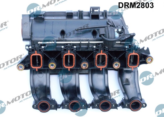 Dr.Motor Automotive DRM2803 Collettore d'aspirazione, Alimentazione aria