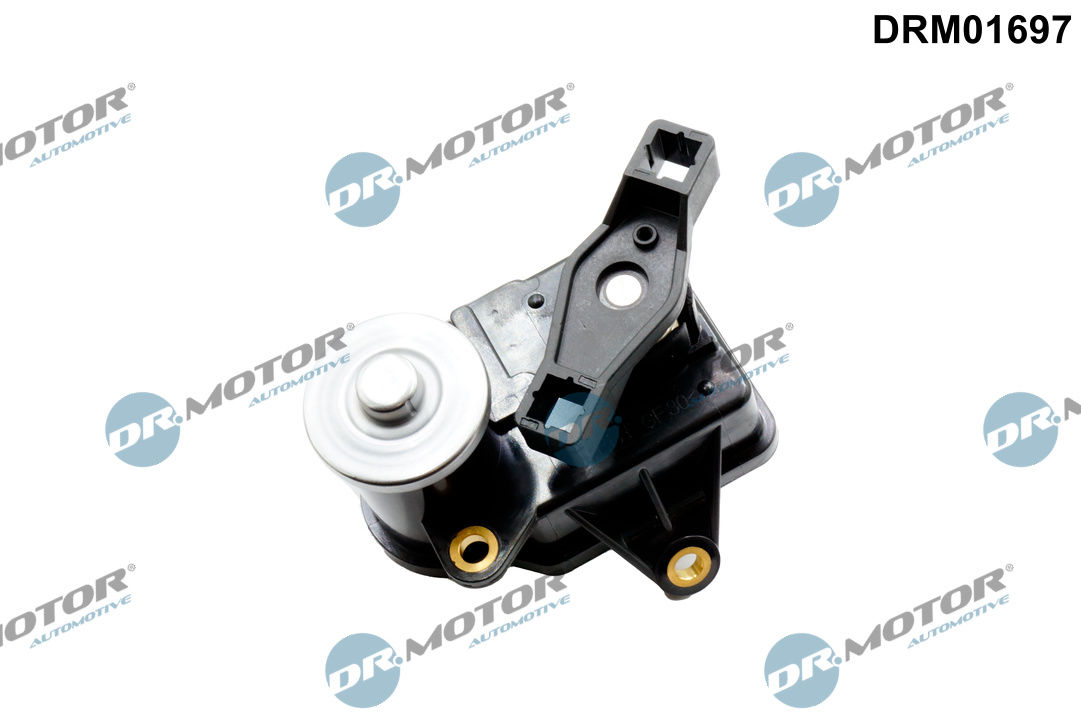 Dr.Motor Automotive DRM01697 Control, swirl covers (induction pipe)