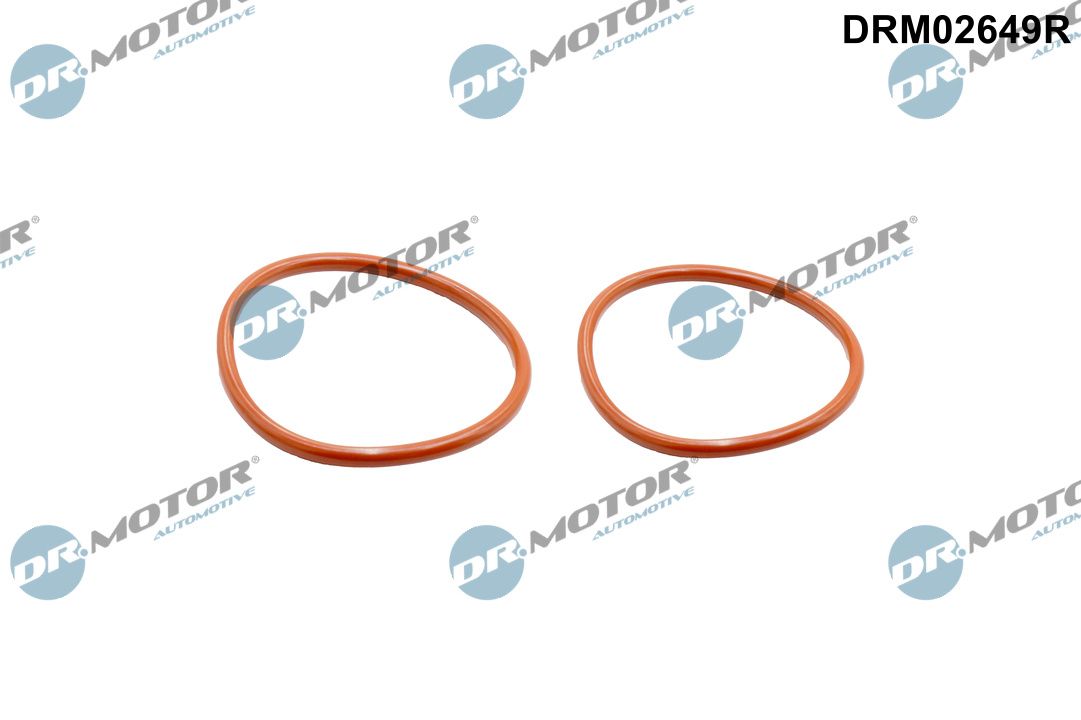 Dr.Motor Automotive DRM02649R Seal Ring, charge air hose