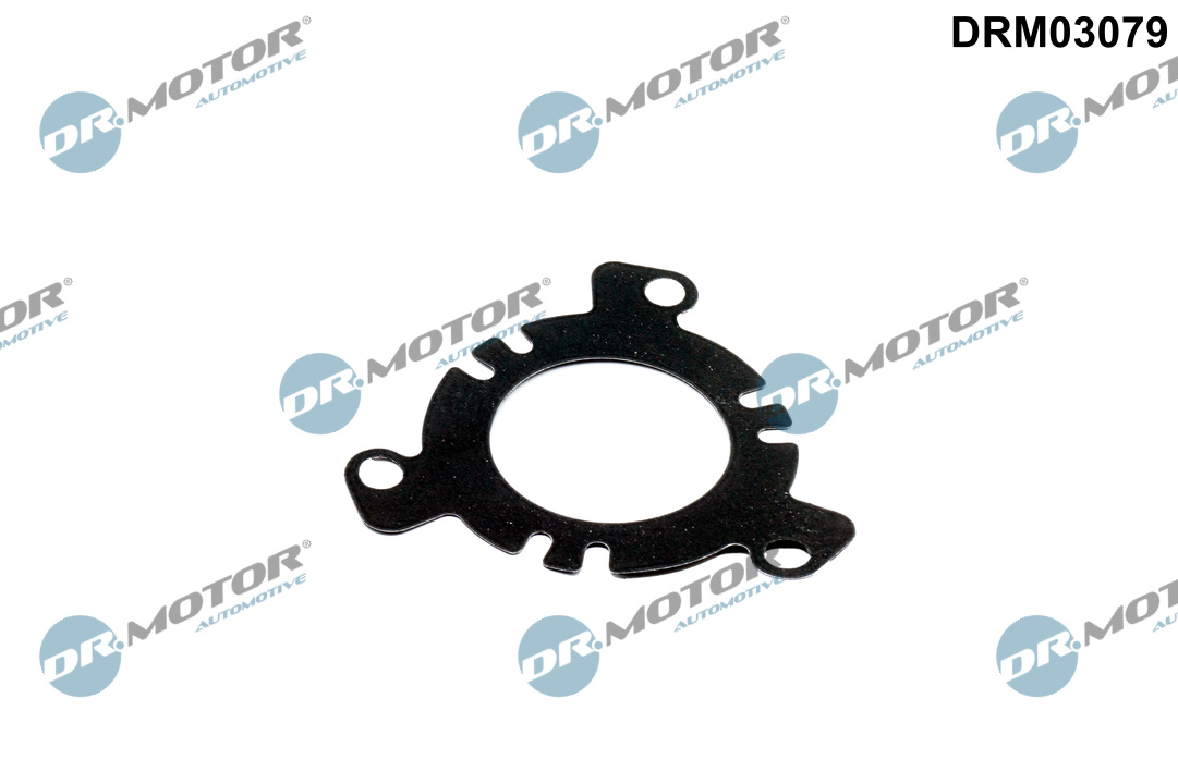 Dr.Motor Automotive DRM03079 Seal, injection pump