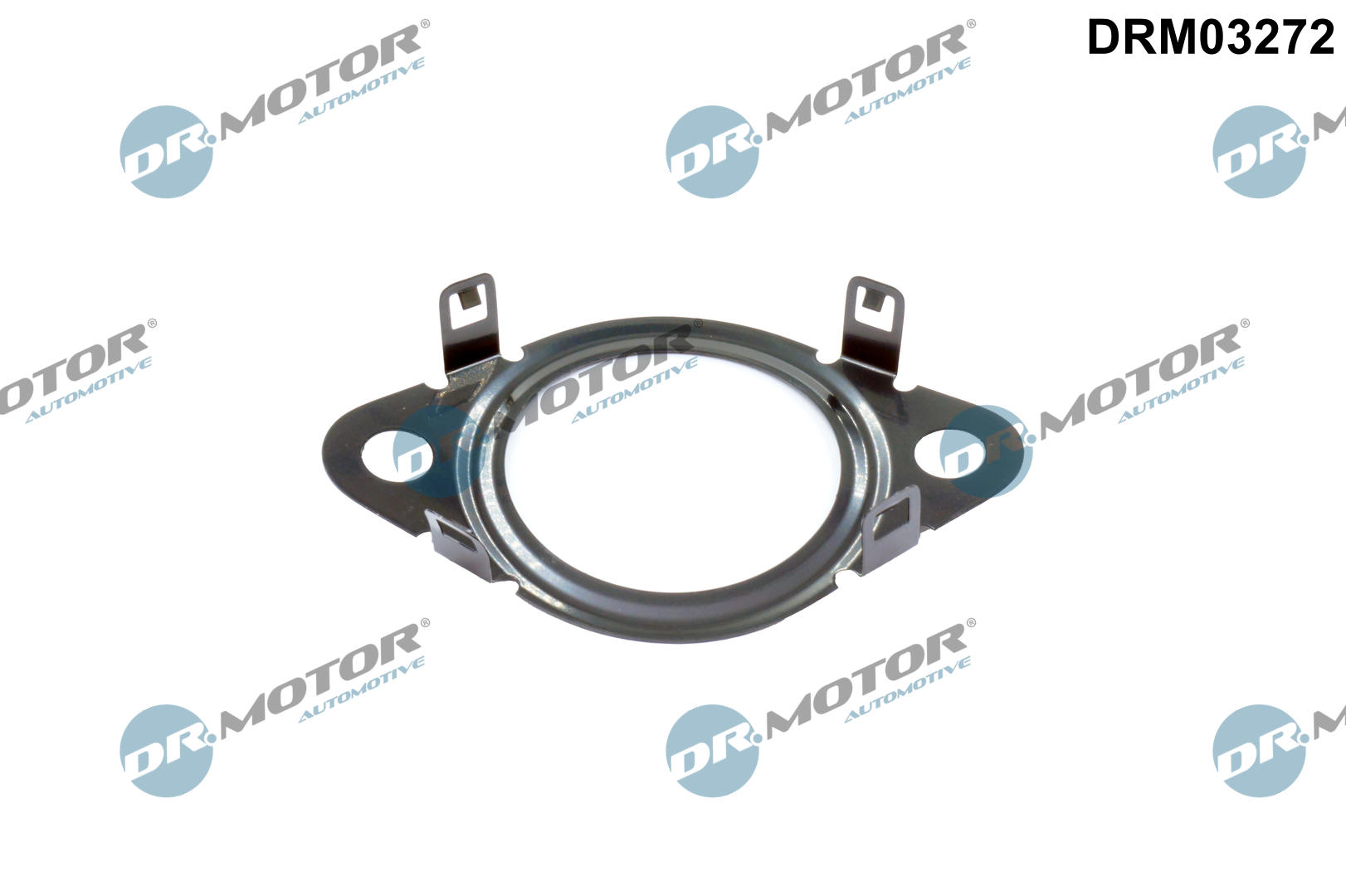 Dr.Motor Automotive DRM03272 Tesnenie, Vedenie AGR-ventilu