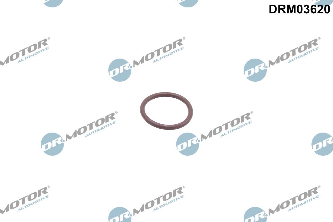 Dr.Motor Automotive DRM03620 Seal Ring, charge air hose