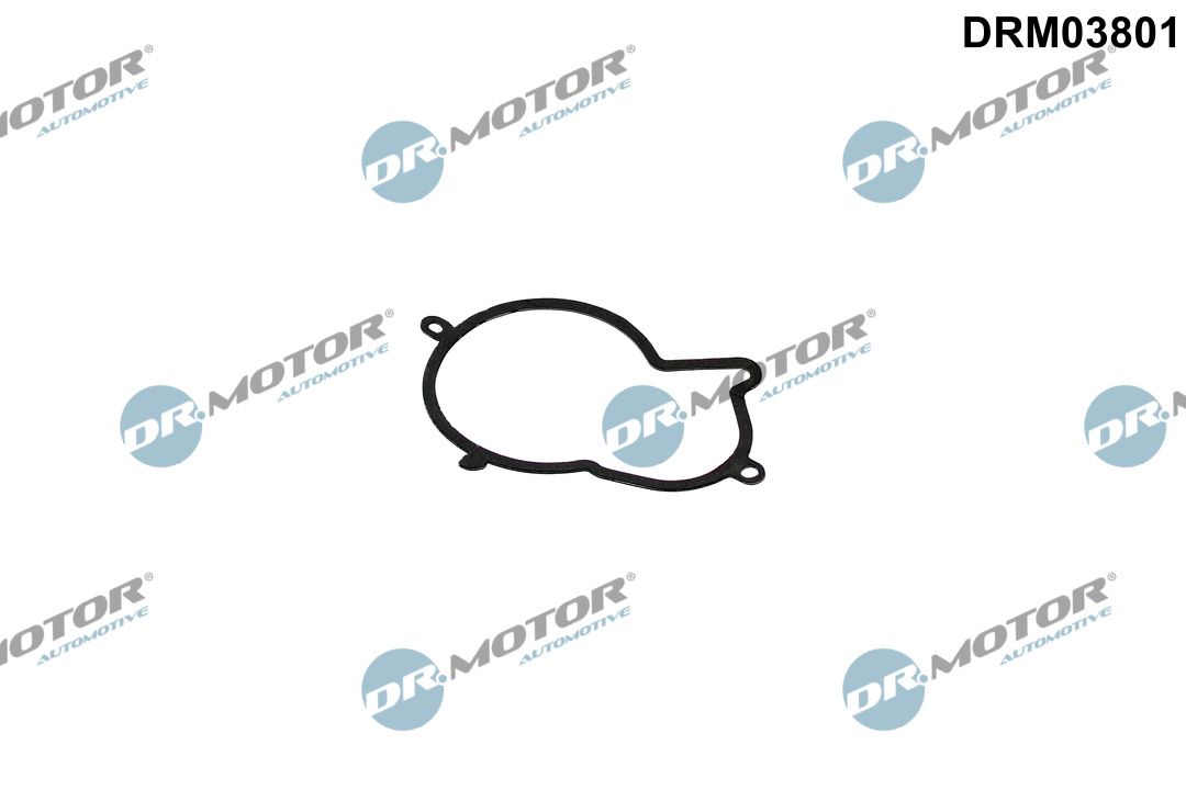 Dr.Motor Automotive DRM03801 Tesnenie vstrekovacieho čerpadla