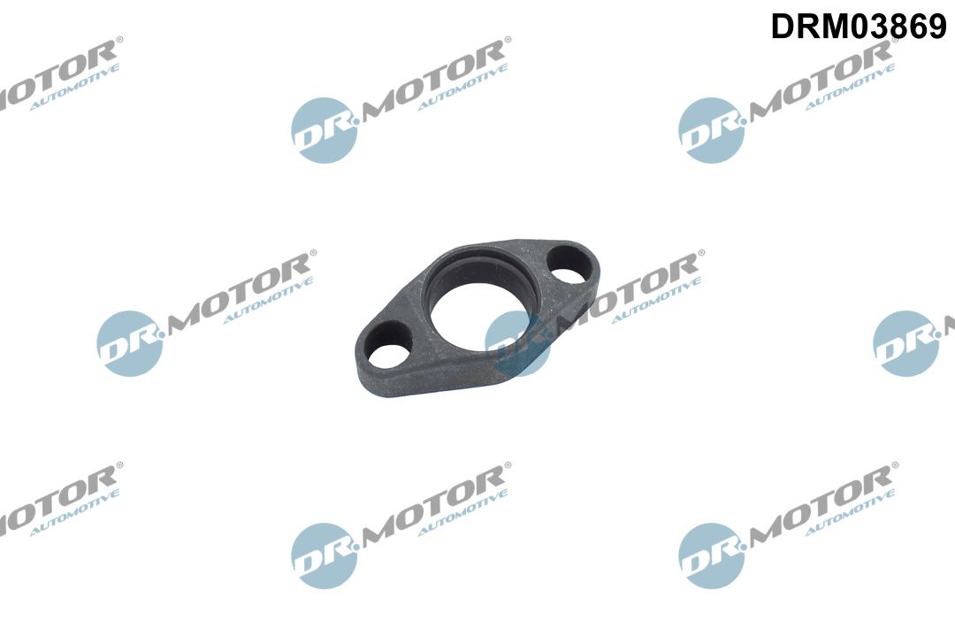 Dr.Motor Automotive DRM03869 Halter, Einspritzventil