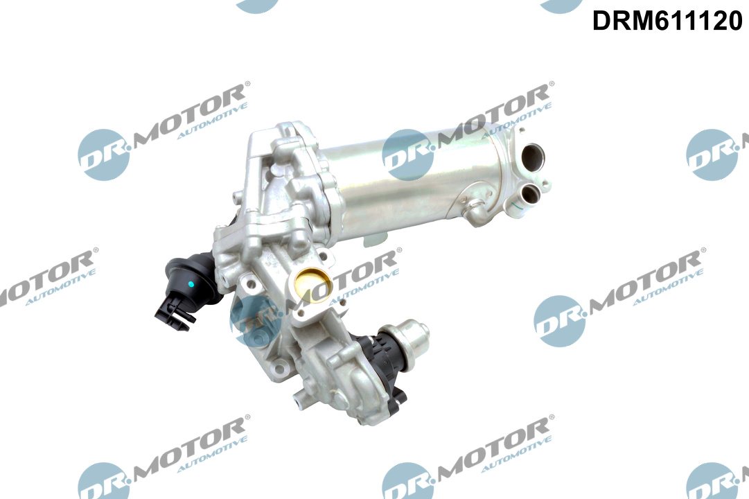 Dr.Motor Automotive...