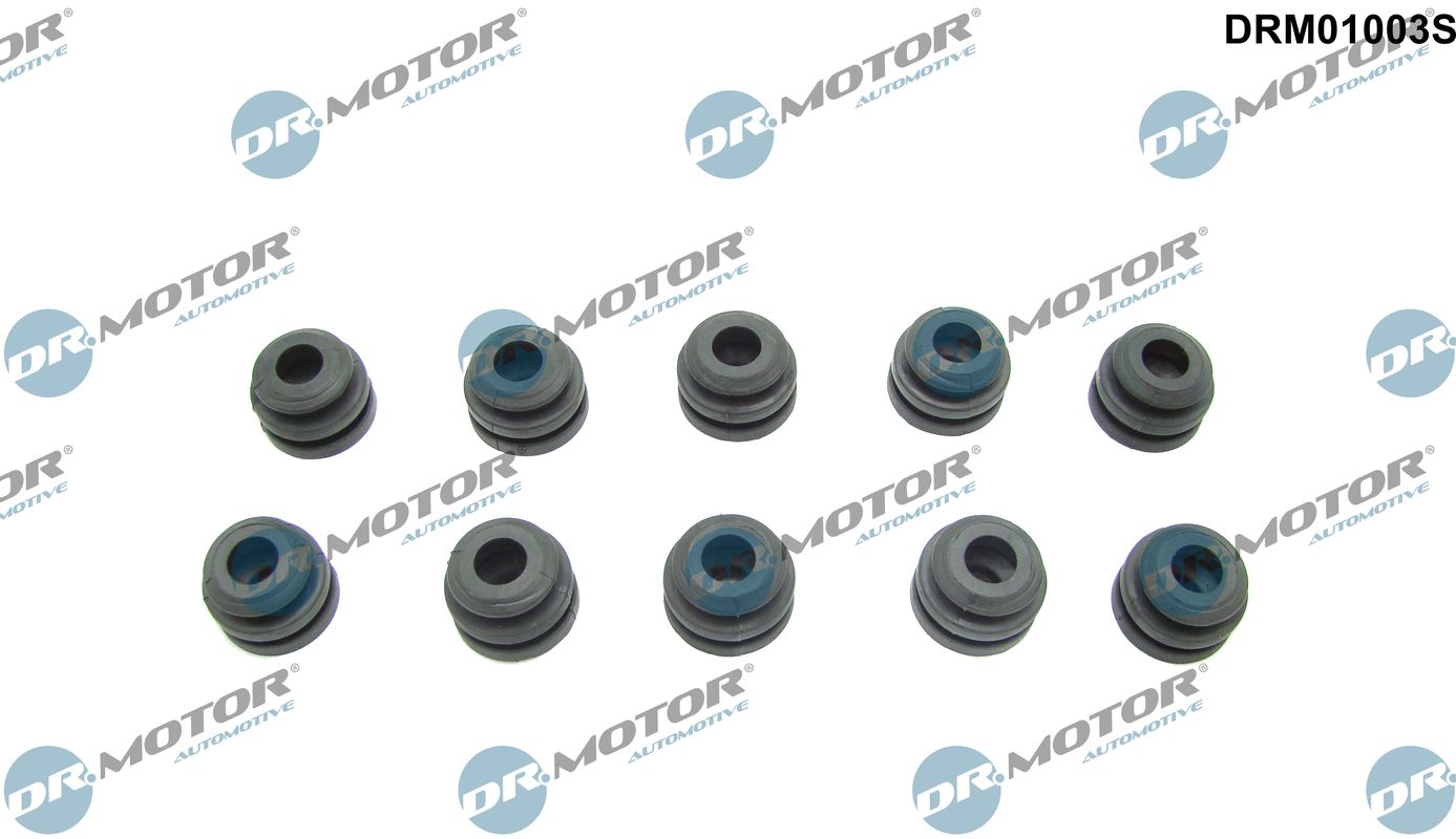 Dr.Motor Automotive...