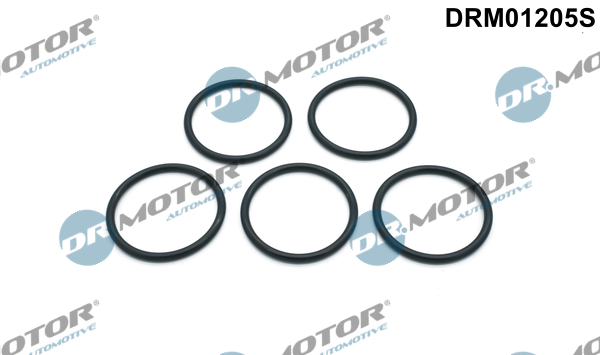 Dr.Motor Automotive DRM01205S Gasket Set, water pump